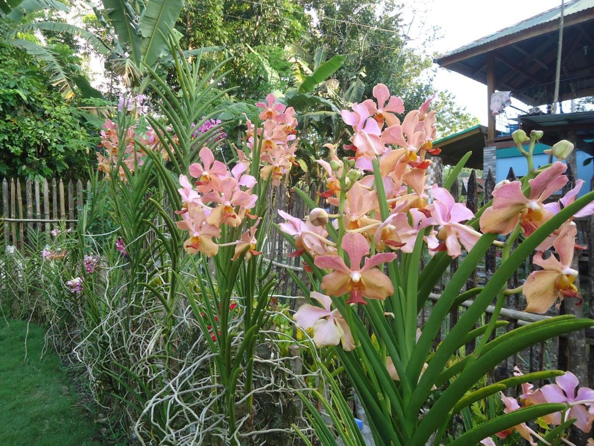 Lhoyjean Garden Hostel Batuan Extérieur photo