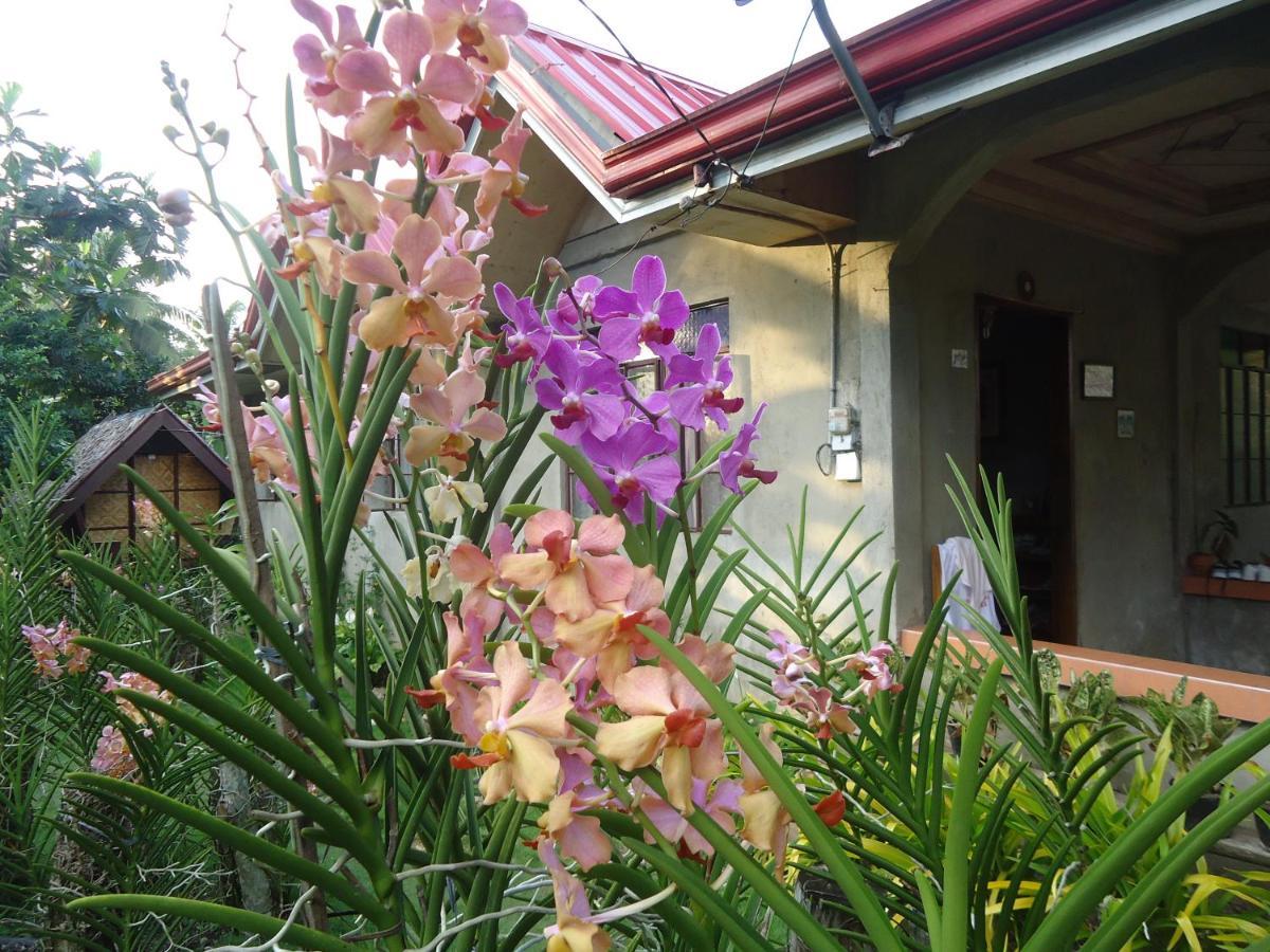 Lhoyjean Garden Hostel Batuan Extérieur photo